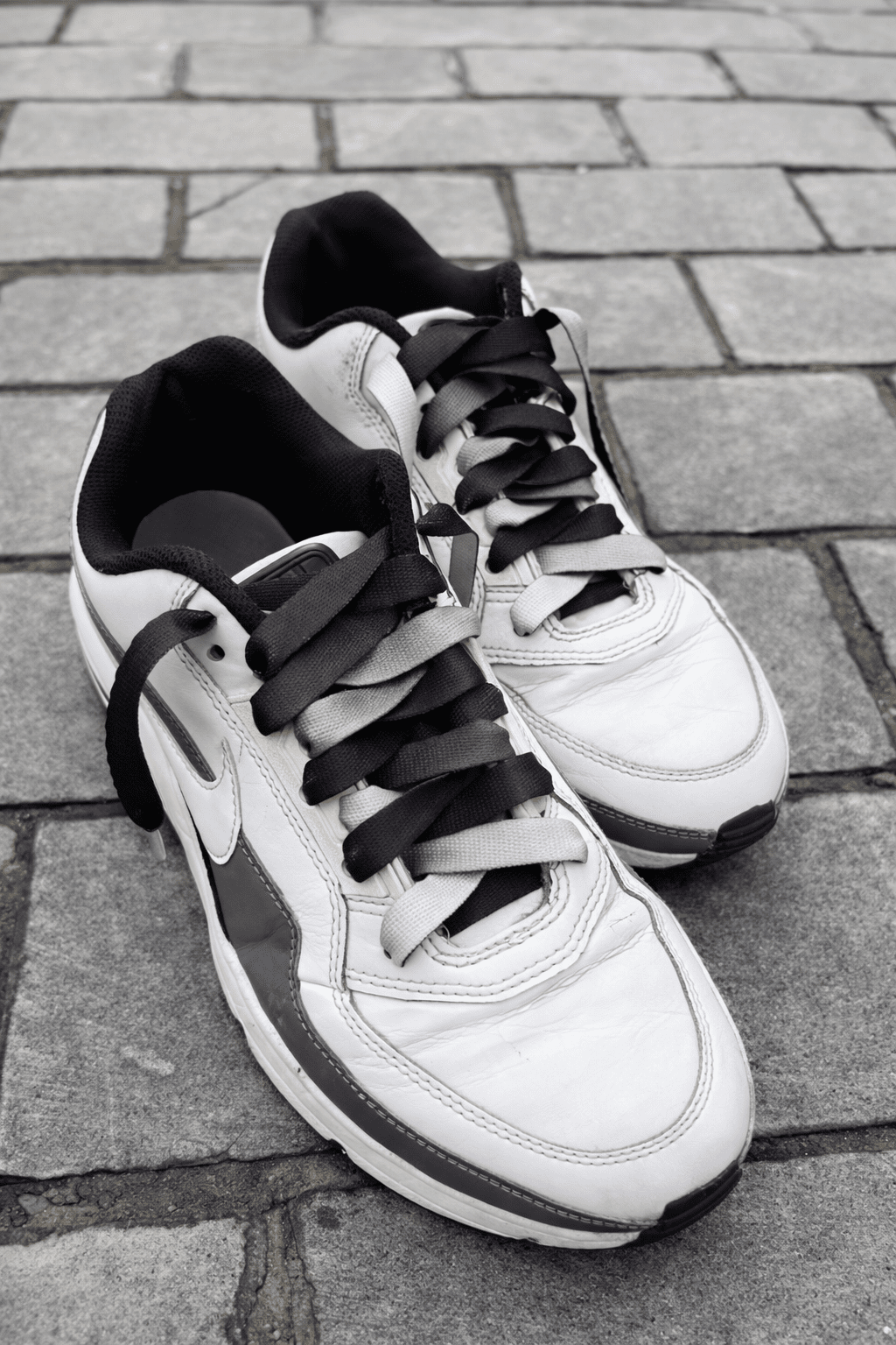 Black - White Gradient - relaced