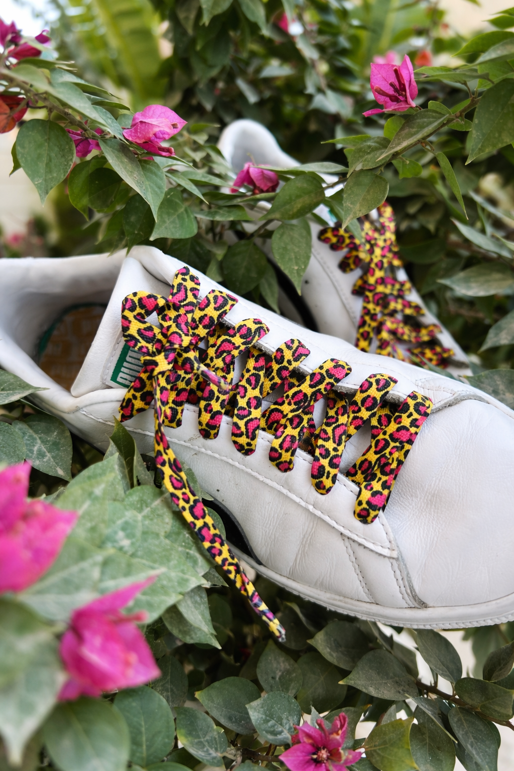 Jungle Pop - relaced