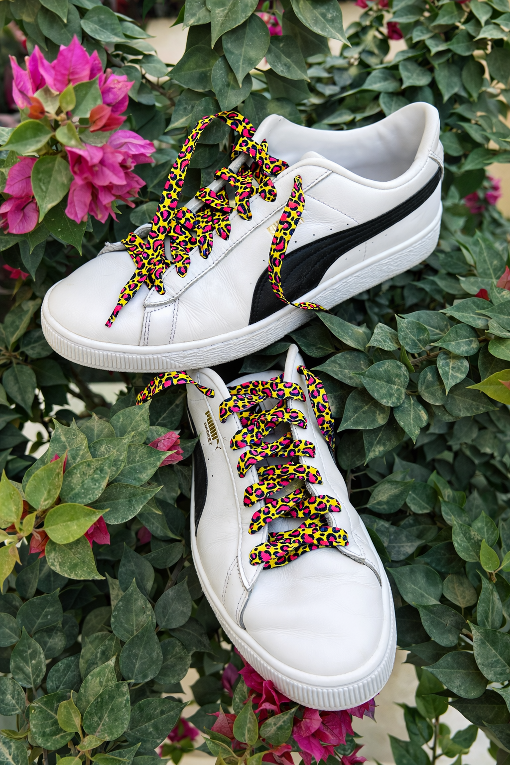 Jungle Pop - relaced