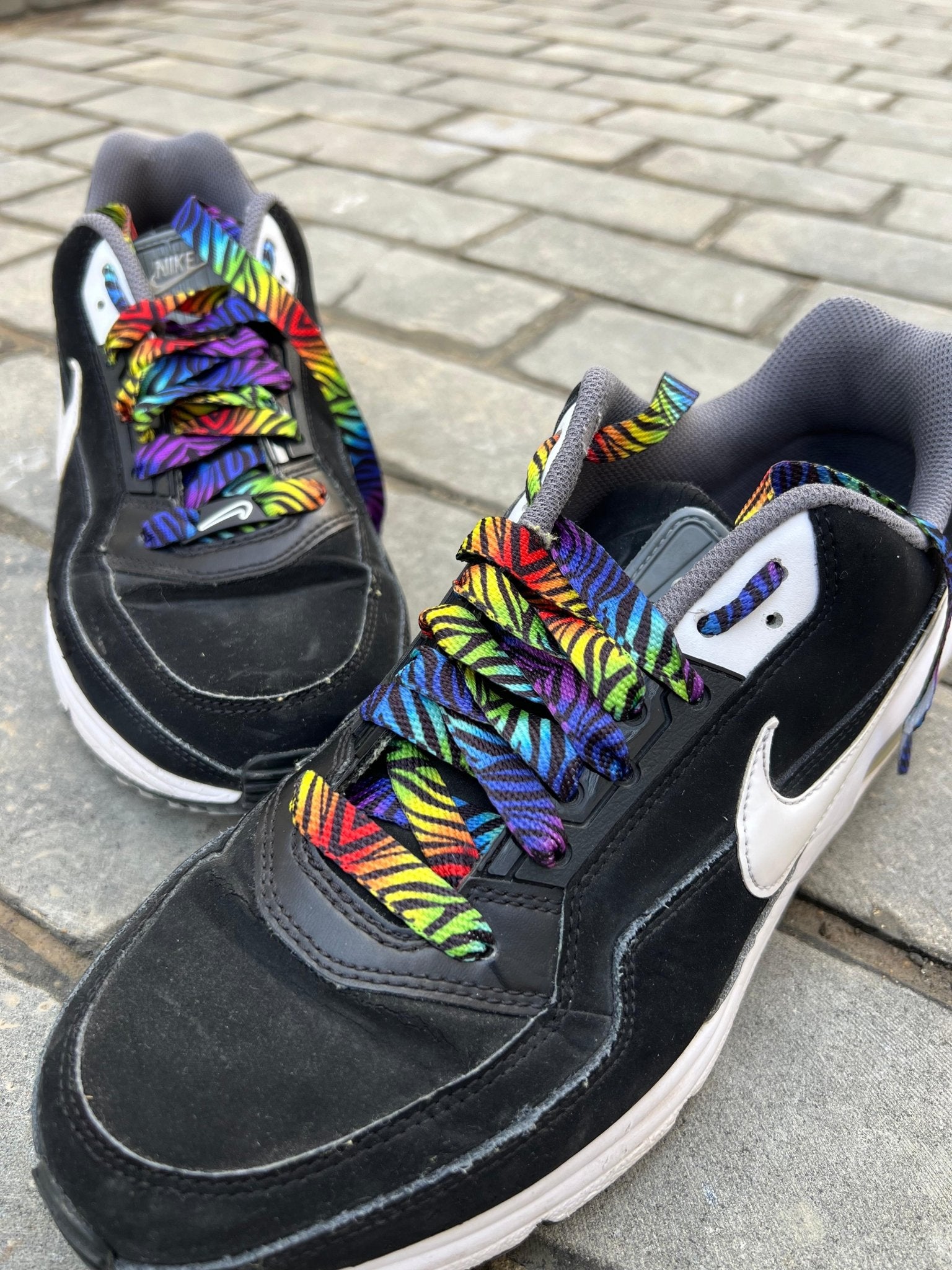 Rainbow Zebra - relaced